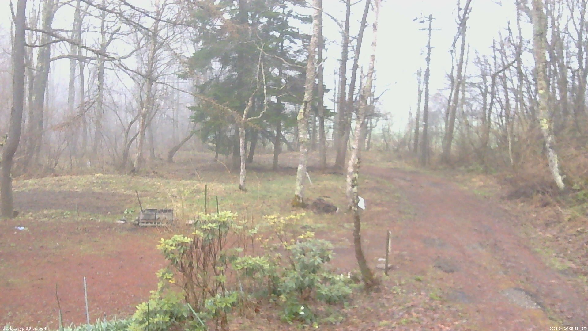 長野県菅平高原 ゆたか山荘 坂上 2026/04/16 05:45