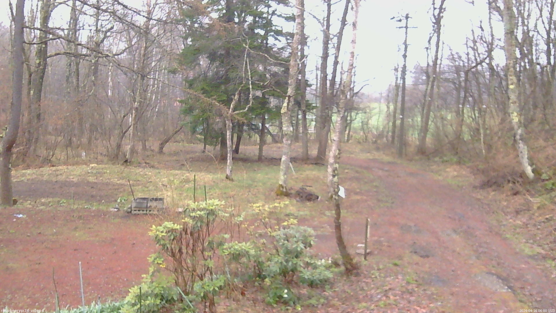 長野県菅平高原 ゆたか山荘 坂上 2026/04/16 06:00