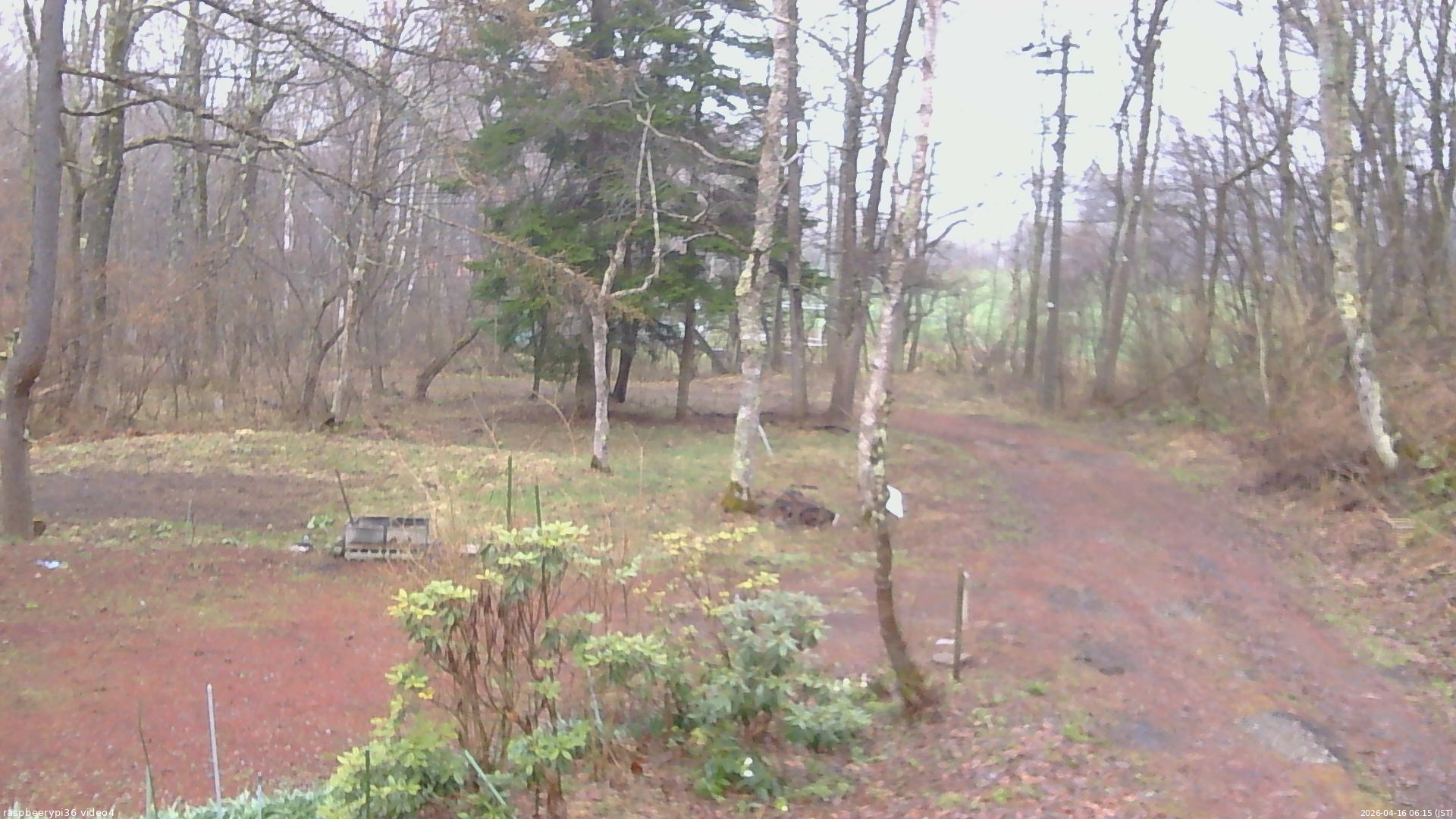 長野県菅平高原 ゆたか山荘 坂上 2026/04/16 06:15