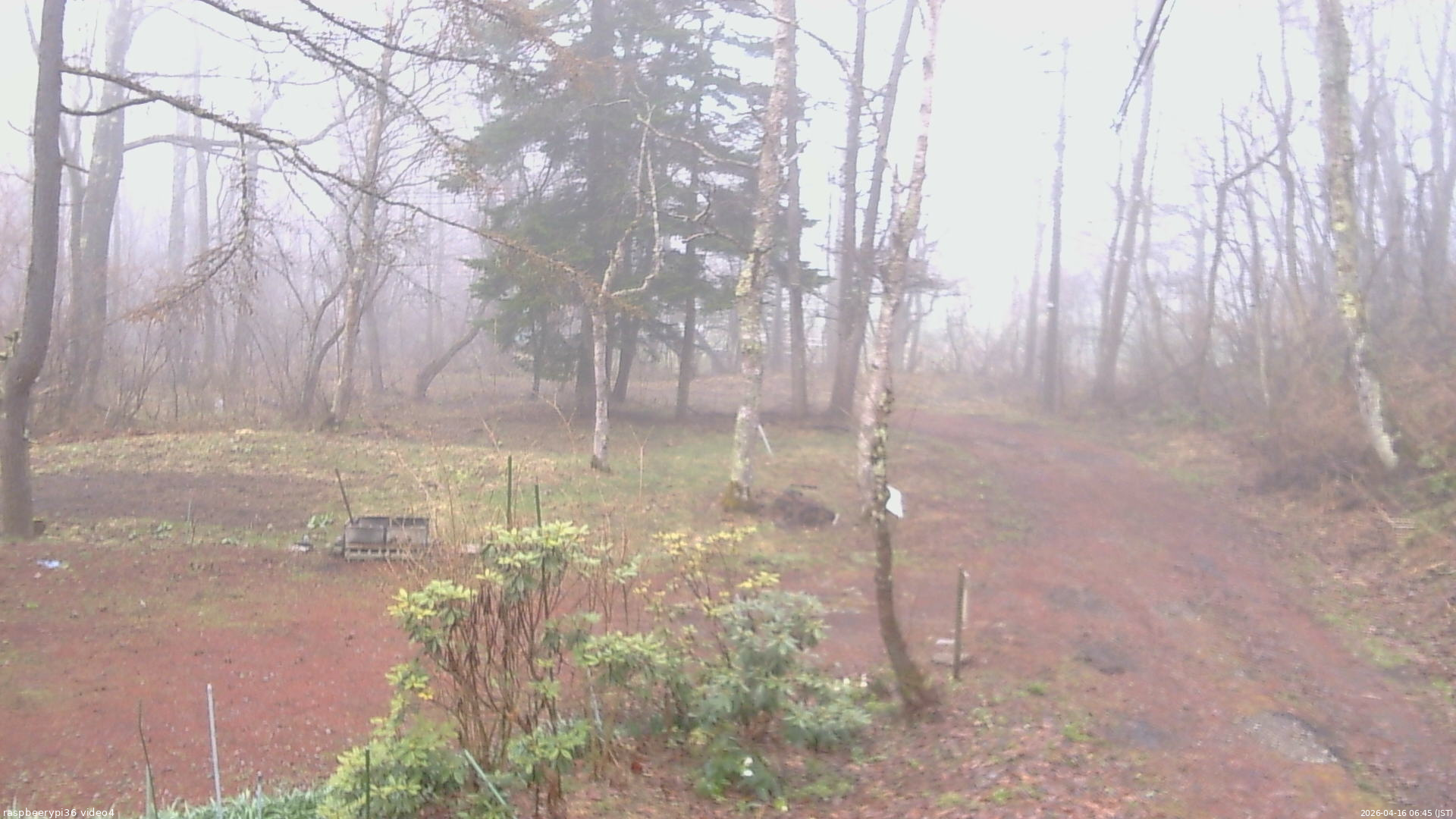 長野県菅平高原 ゆたか山荘 坂上 2026/04/16 06:45