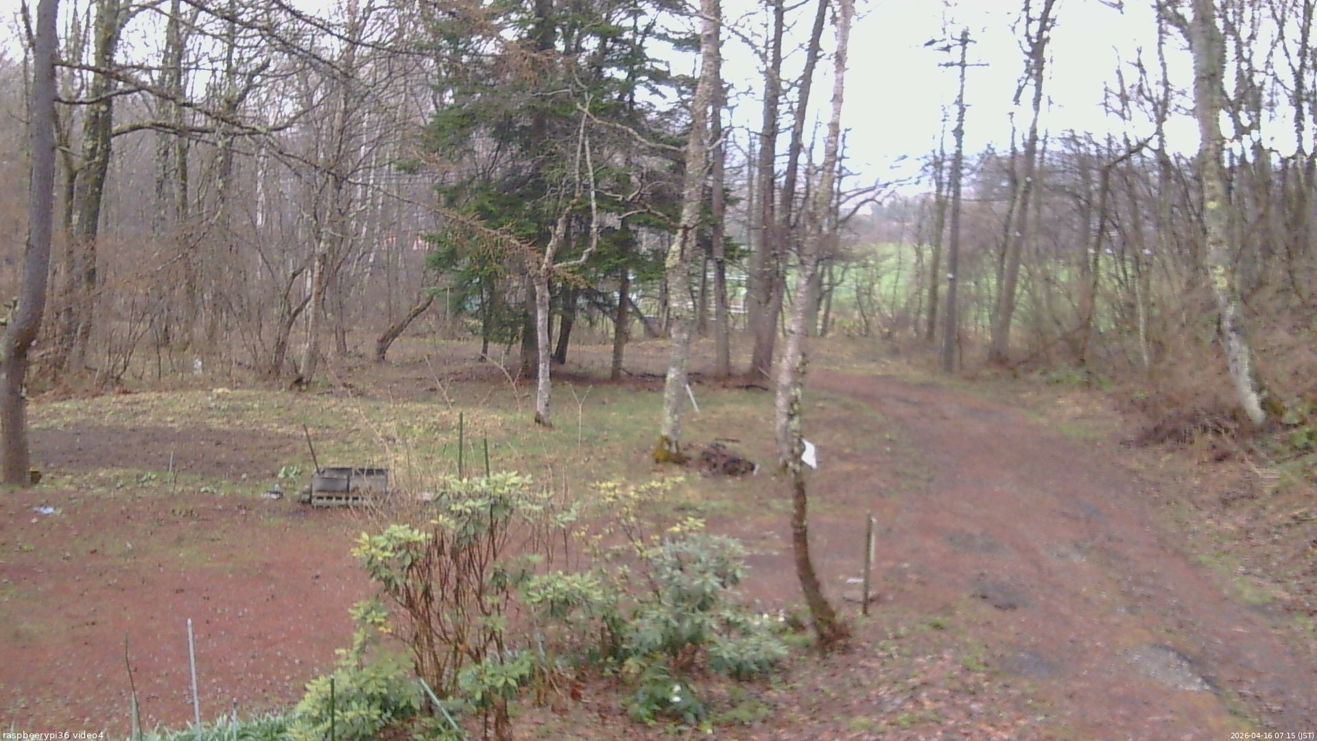長野県菅平高原 ゆたか山荘 坂上 2026/04/16 07:15