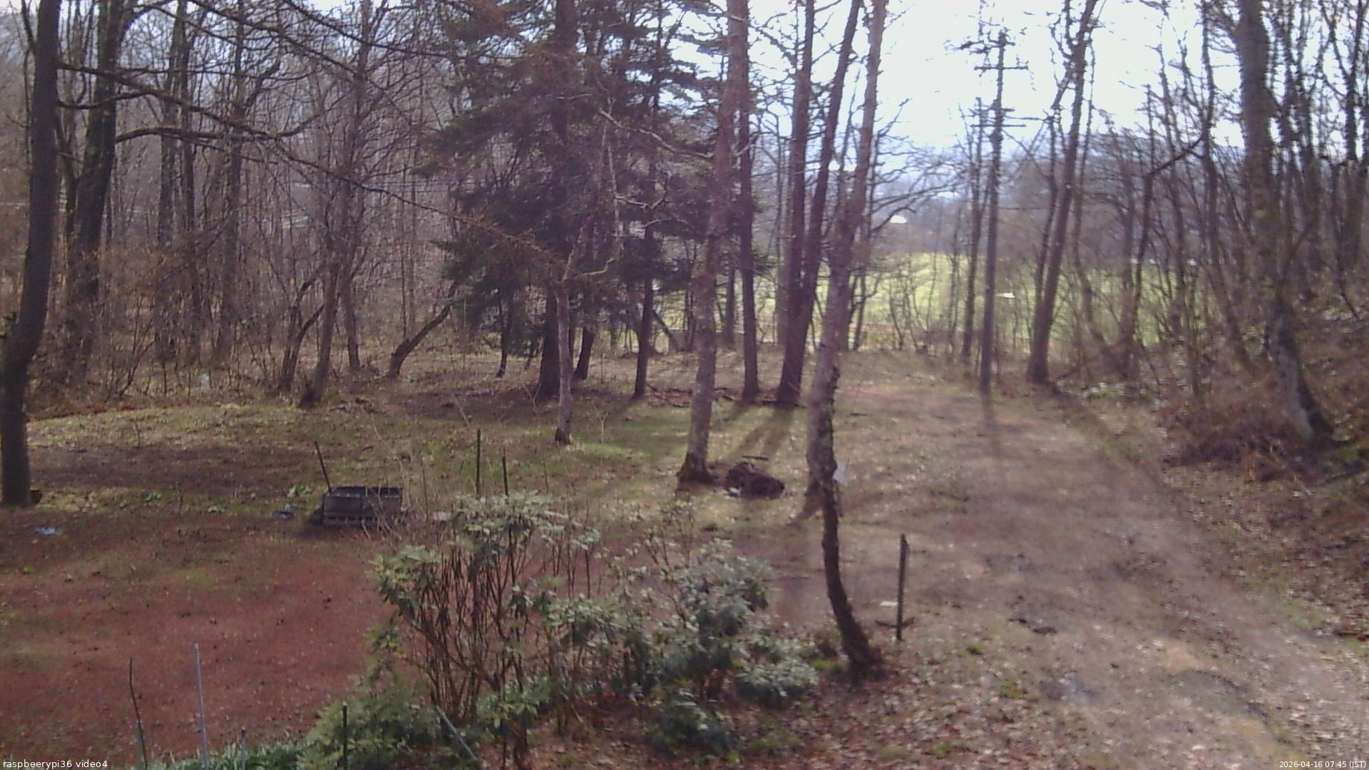 長野県菅平高原 ゆたか山荘 坂上 2026/04/16 07:45