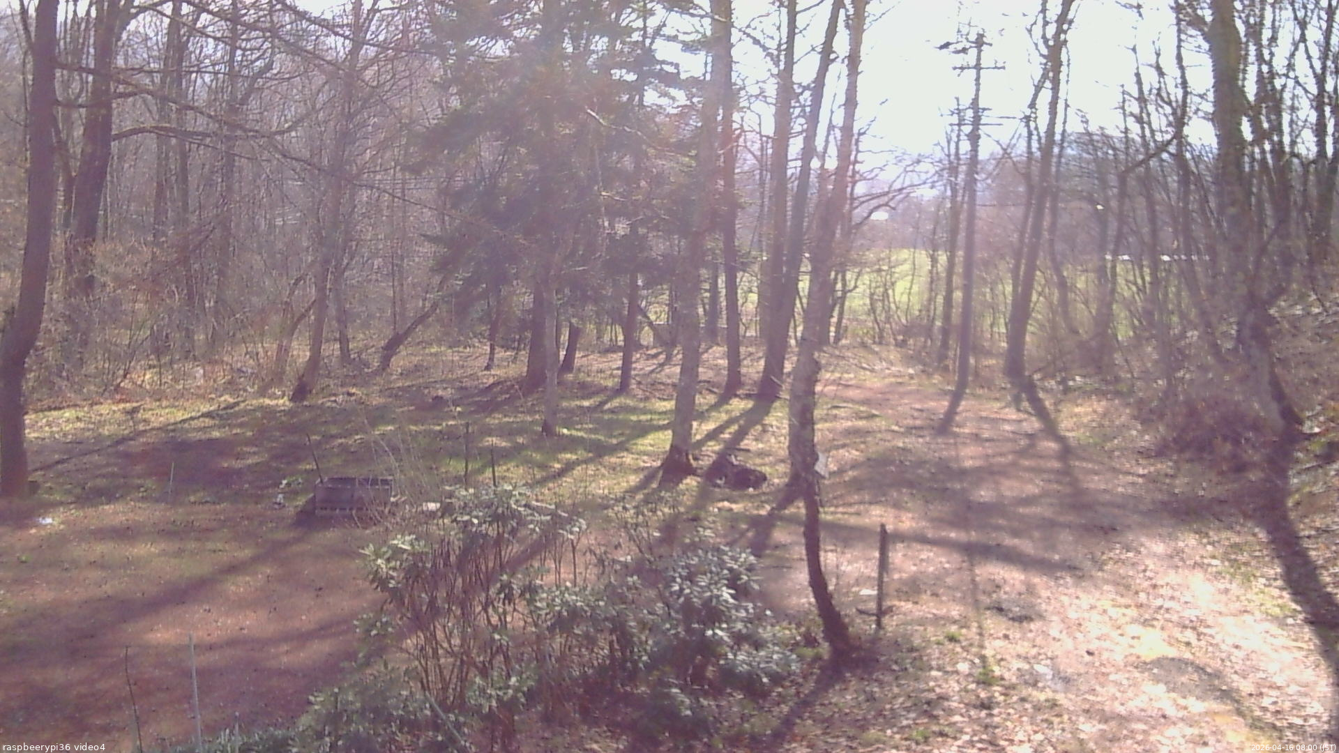 長野県菅平高原 ゆたか山荘 坂上 2026/04/16 08:00