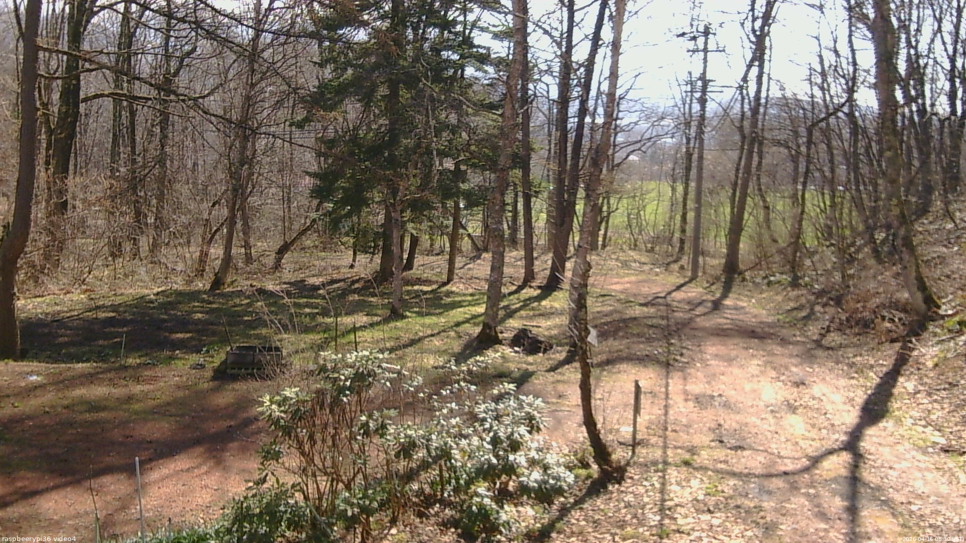 長野県菅平高原 ゆたか山荘 坂上 2026/04/16 08:30