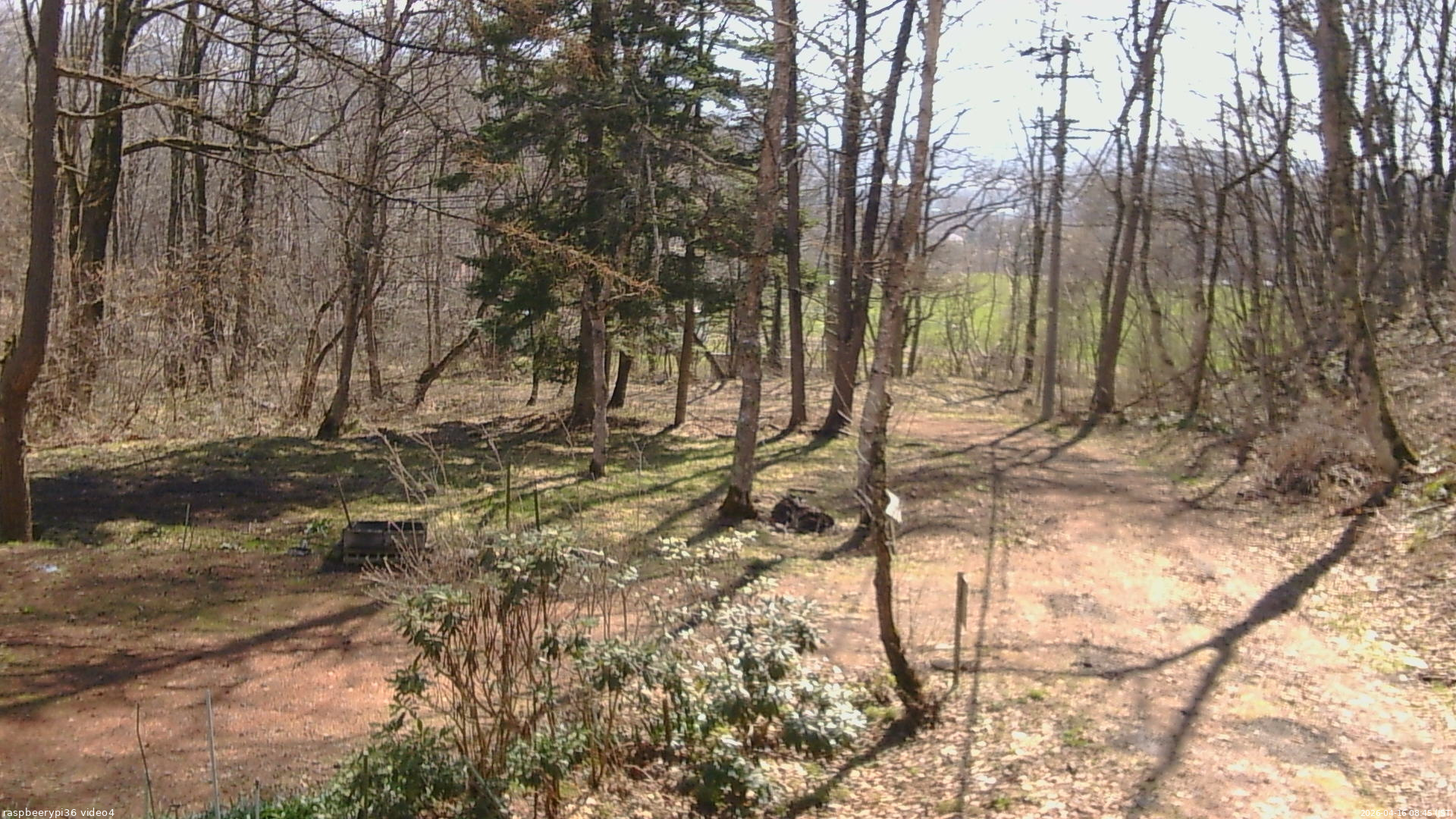長野県菅平高原 ゆたか山荘 坂上 2026/04/16 08:45