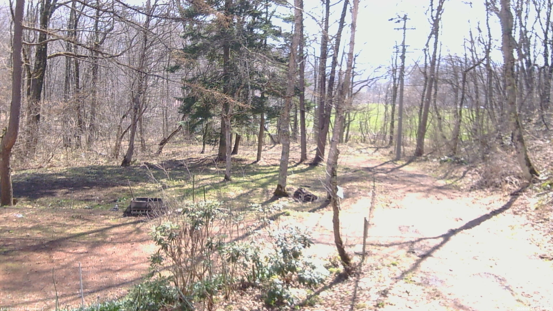 長野県菅平高原 ゆたか山荘 坂上 2026/04/16 09:00