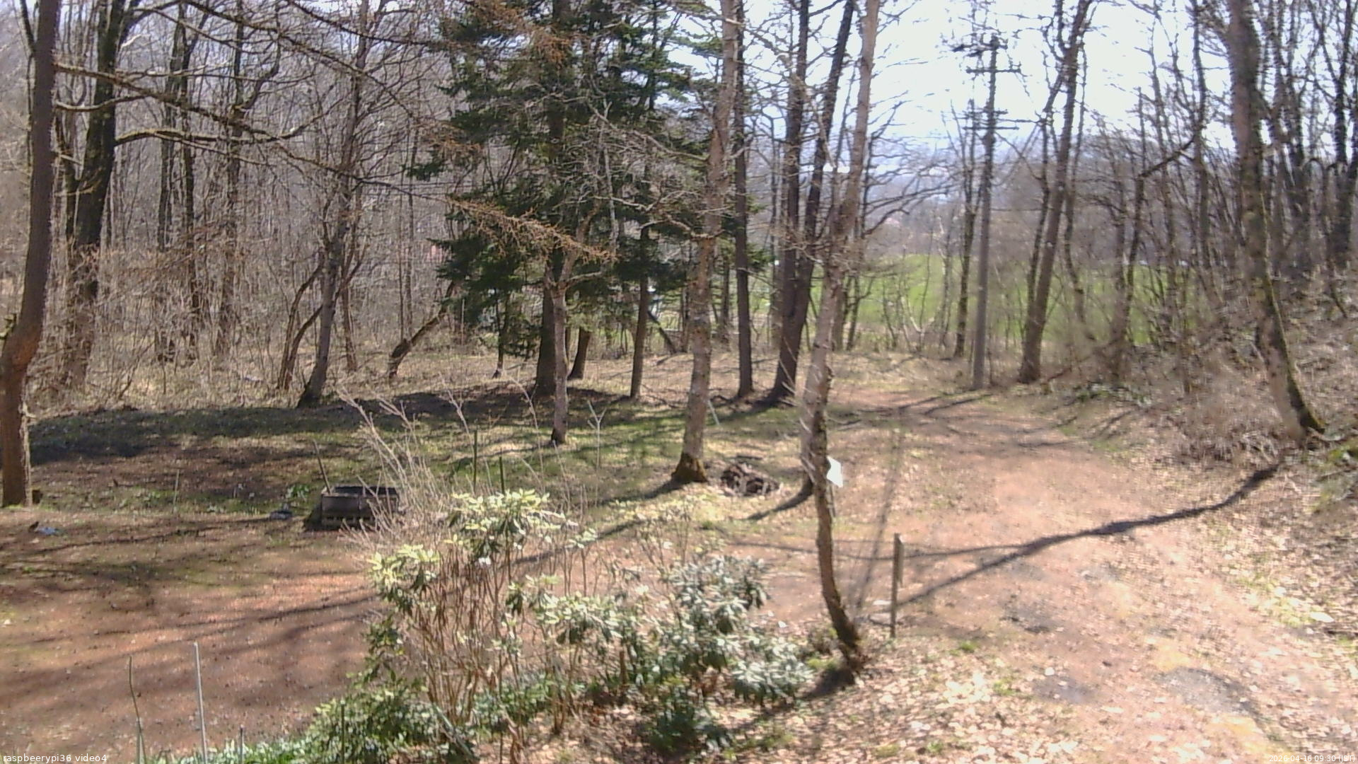 長野県菅平高原 ゆたか山荘 坂上 2026/04/16 09:30