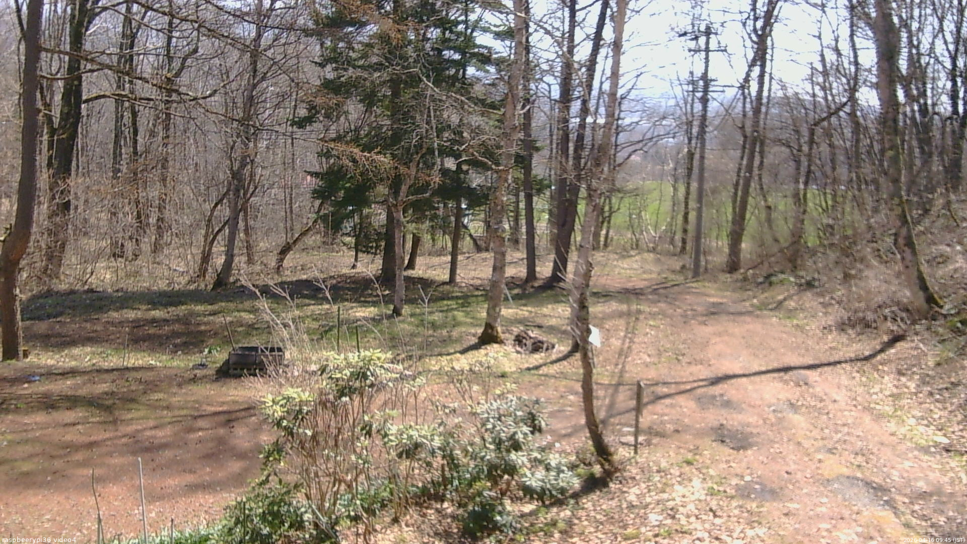 長野県菅平高原 ゆたか山荘 坂上 2026/04/16 09:45