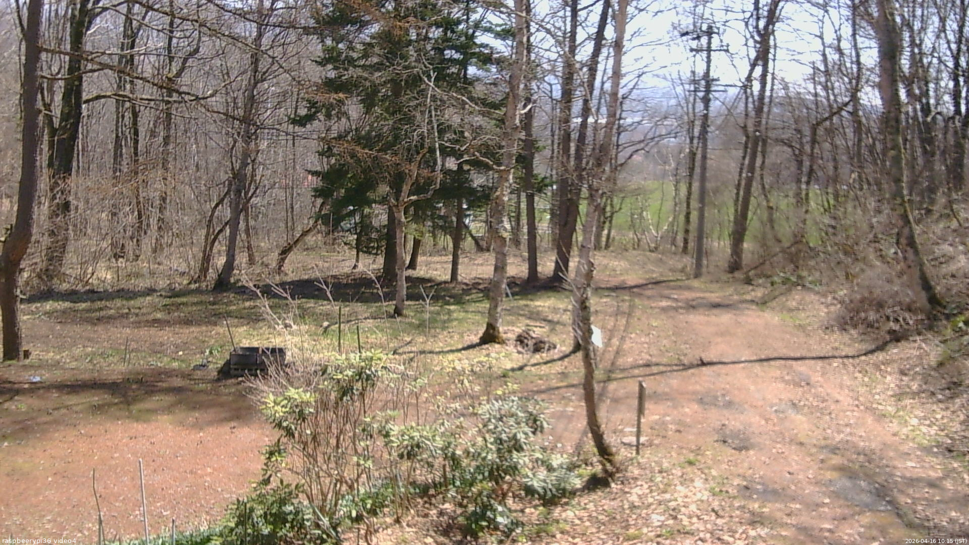 長野県菅平高原 ゆたか山荘 坂上 2026/04/16 10:15