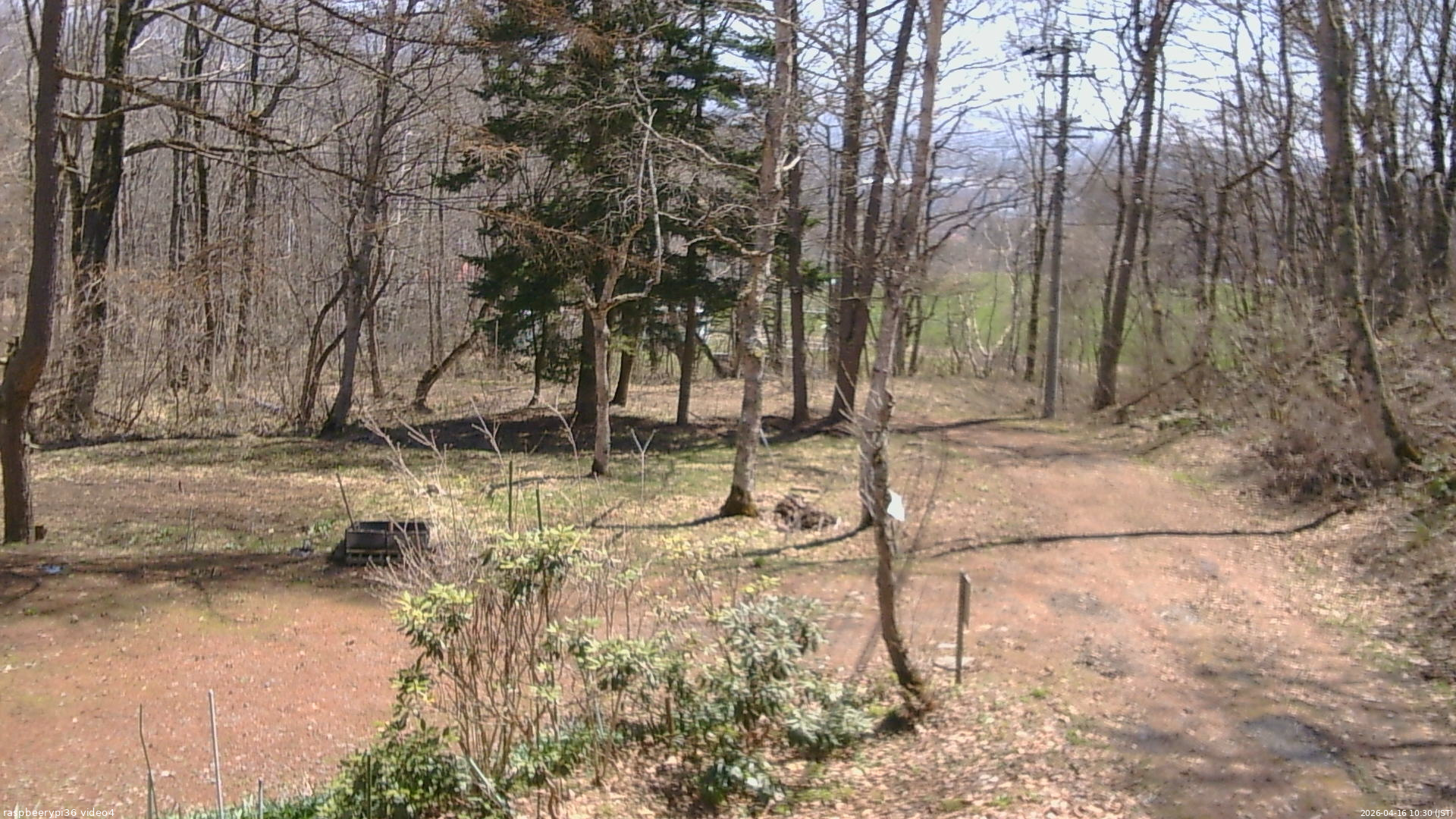 長野県菅平高原 ゆたか山荘 坂上 2026/04/16 10:30