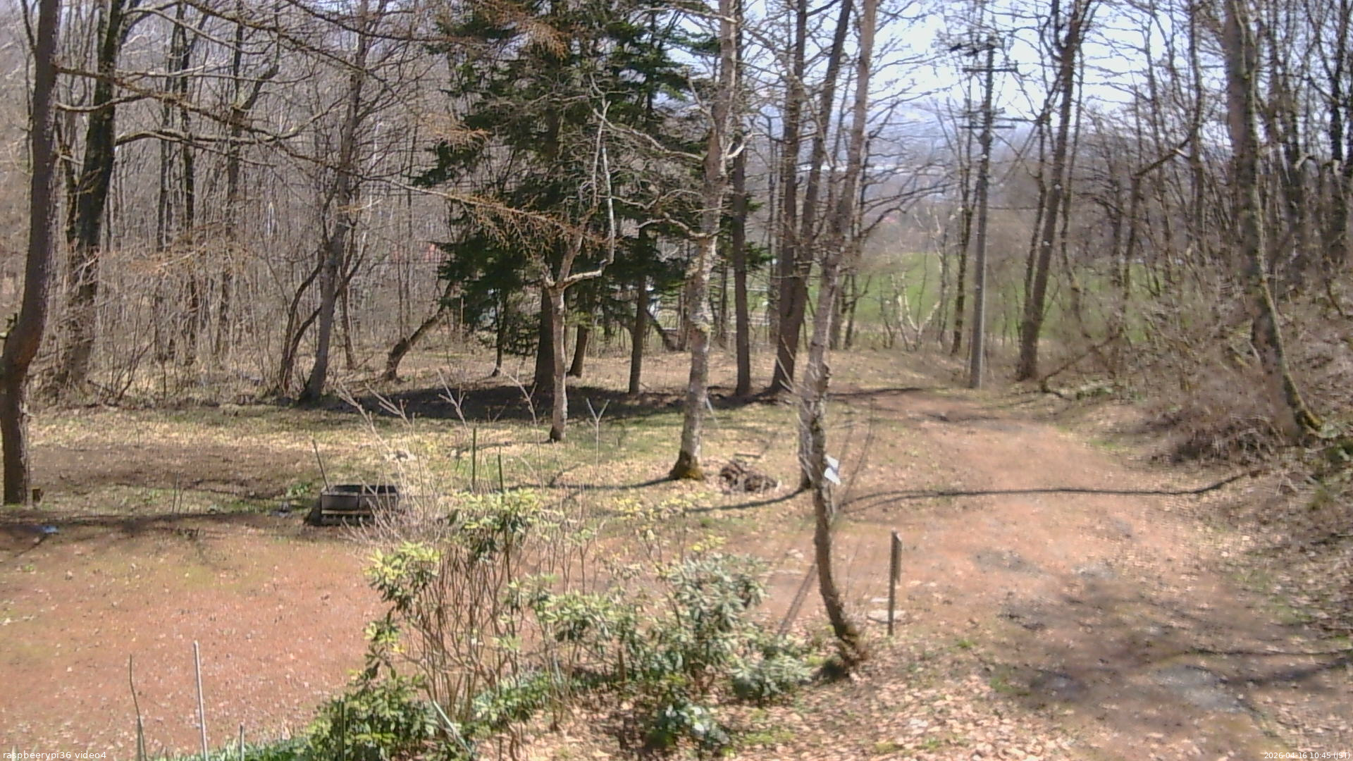 長野県菅平高原 ゆたか山荘 坂上 2026/04/16 10:45