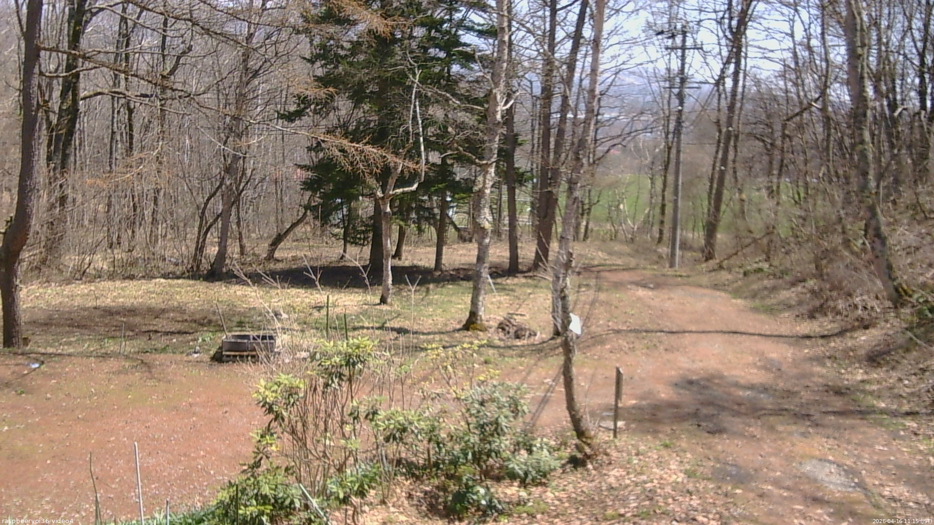 長野県菅平高原 ゆたか山荘 坂上 2026/04/16 11:15