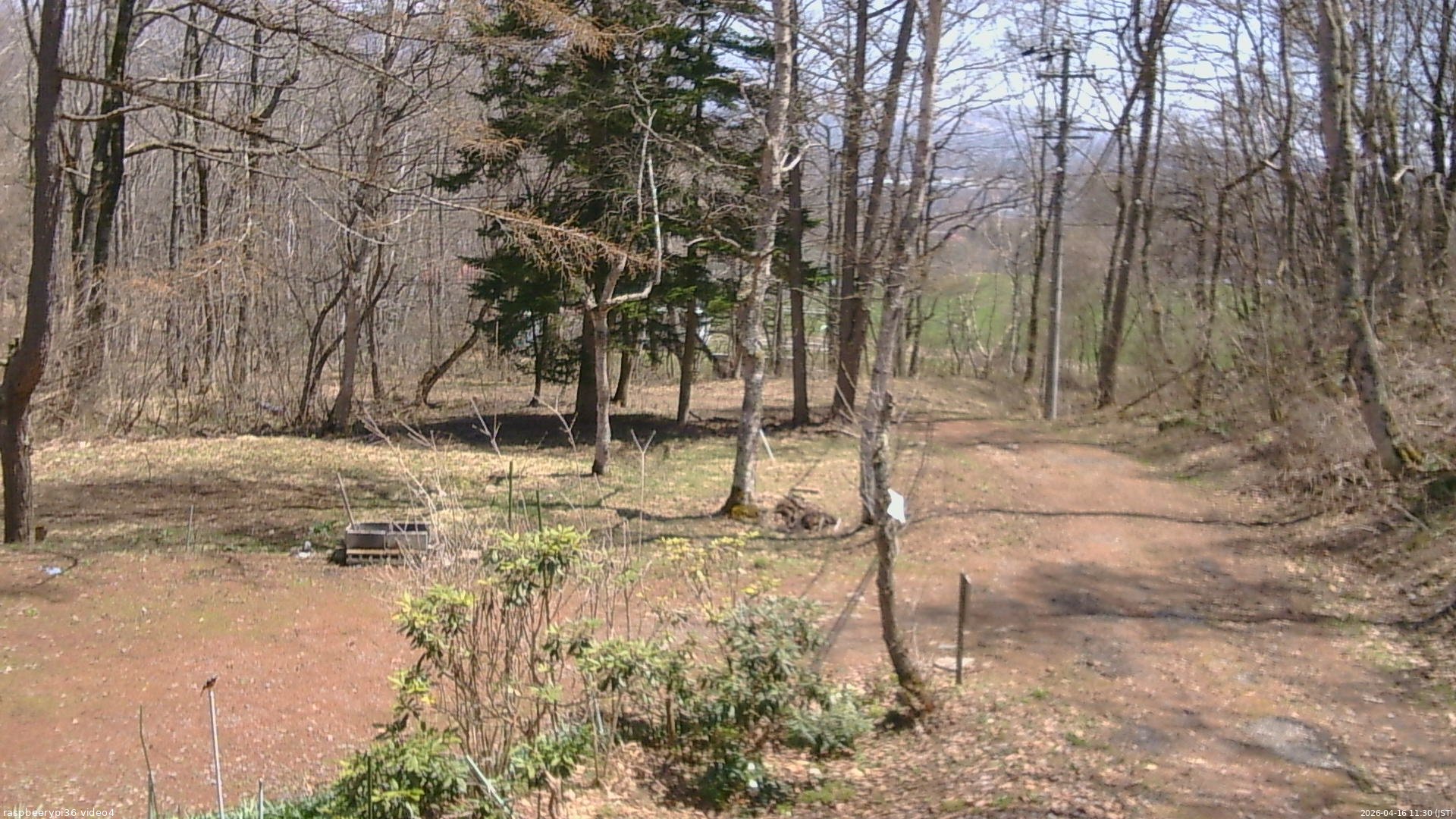 長野県菅平高原 ゆたか山荘 坂上 2026/04/16 11:30
