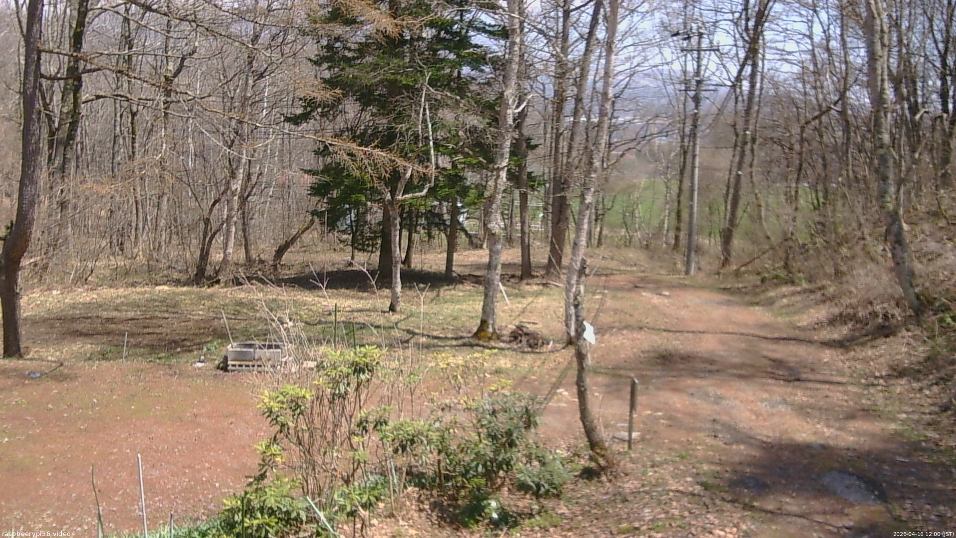 長野県菅平高原 ゆたか山荘 坂上 2026/04/16 12:00