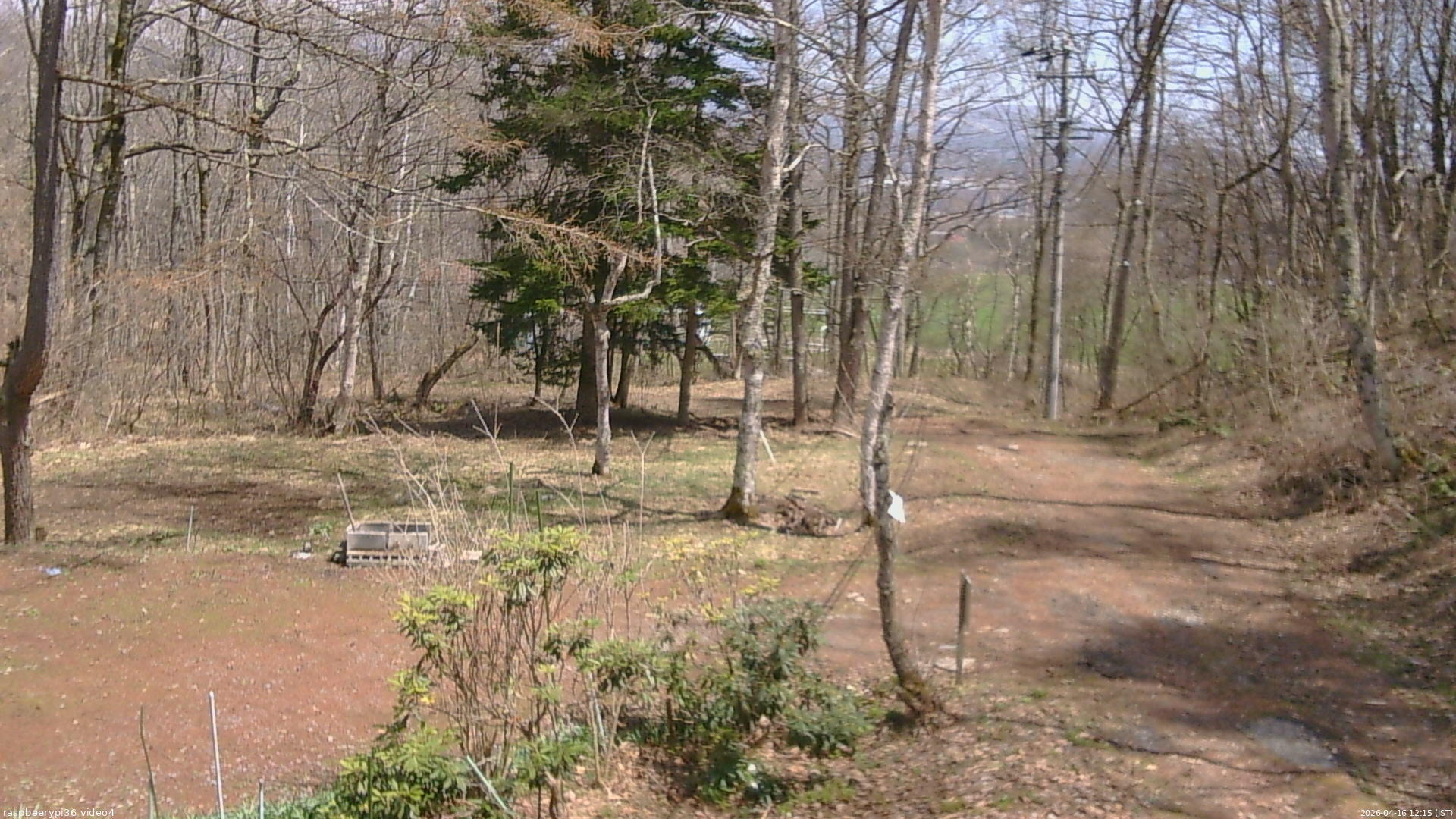 長野県菅平高原 ゆたか山荘 坂上 2026/04/16 12:15