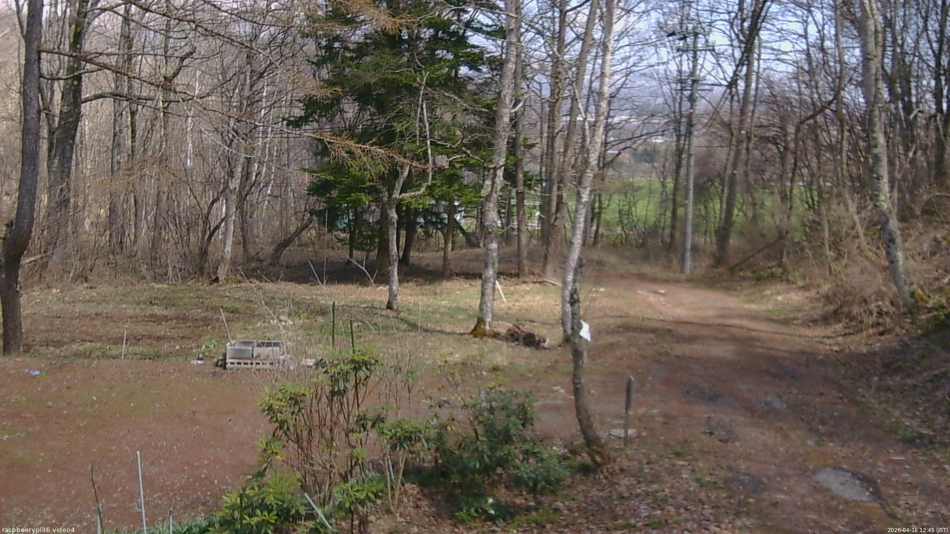 長野県菅平高原 ゆたか山荘 坂上 2026/04/16 12:45