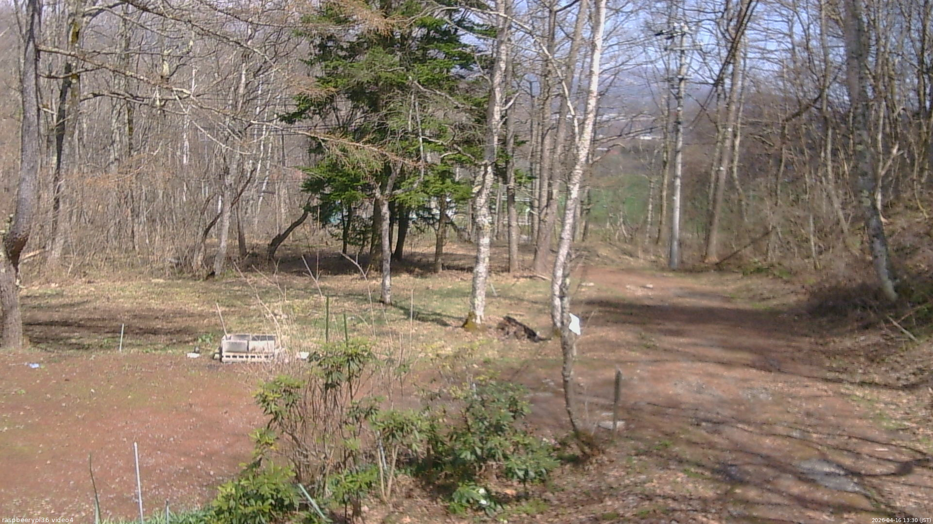 長野県菅平高原 ゆたか山荘 坂上 2026/04/16 13:30