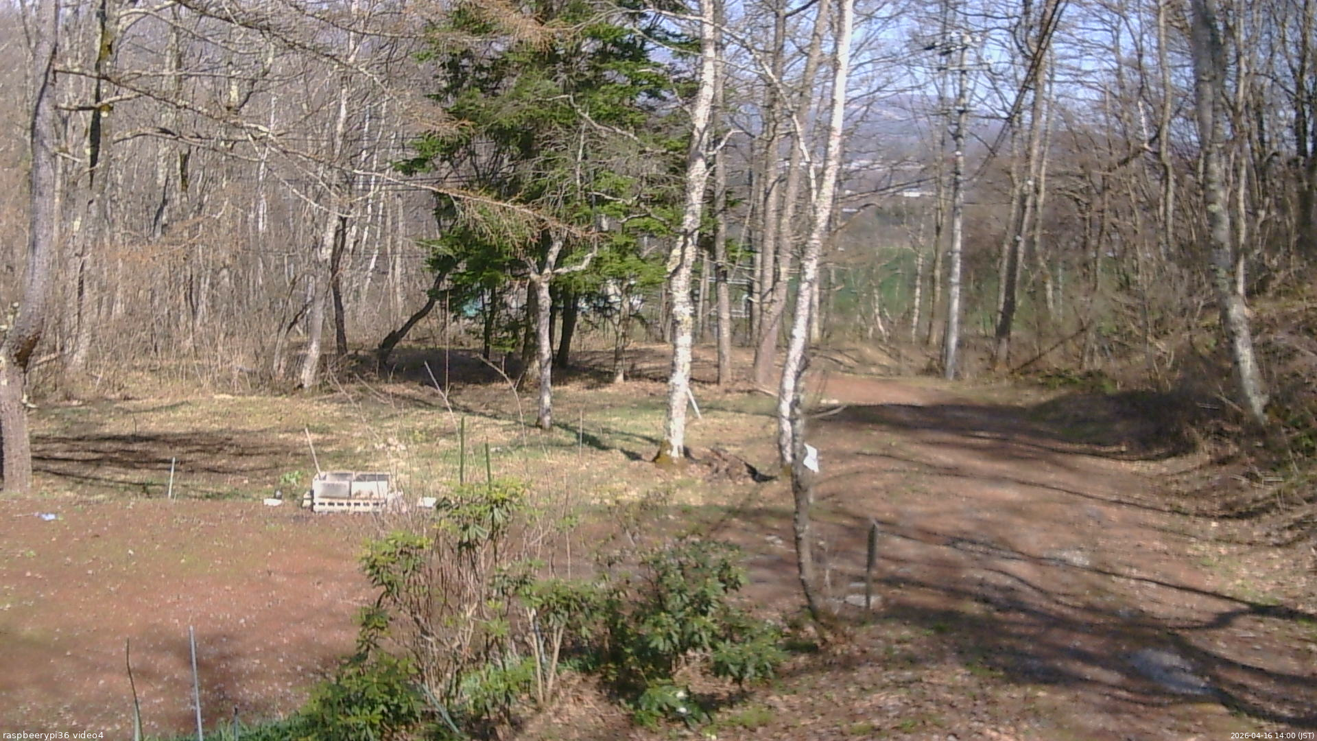 長野県菅平高原 ゆたか山荘 坂上 2026/04/16 14:00