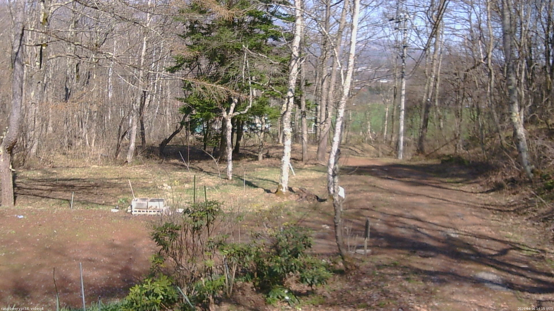 長野県菅平高原 ゆたか山荘 坂上 2026/04/16 14:15