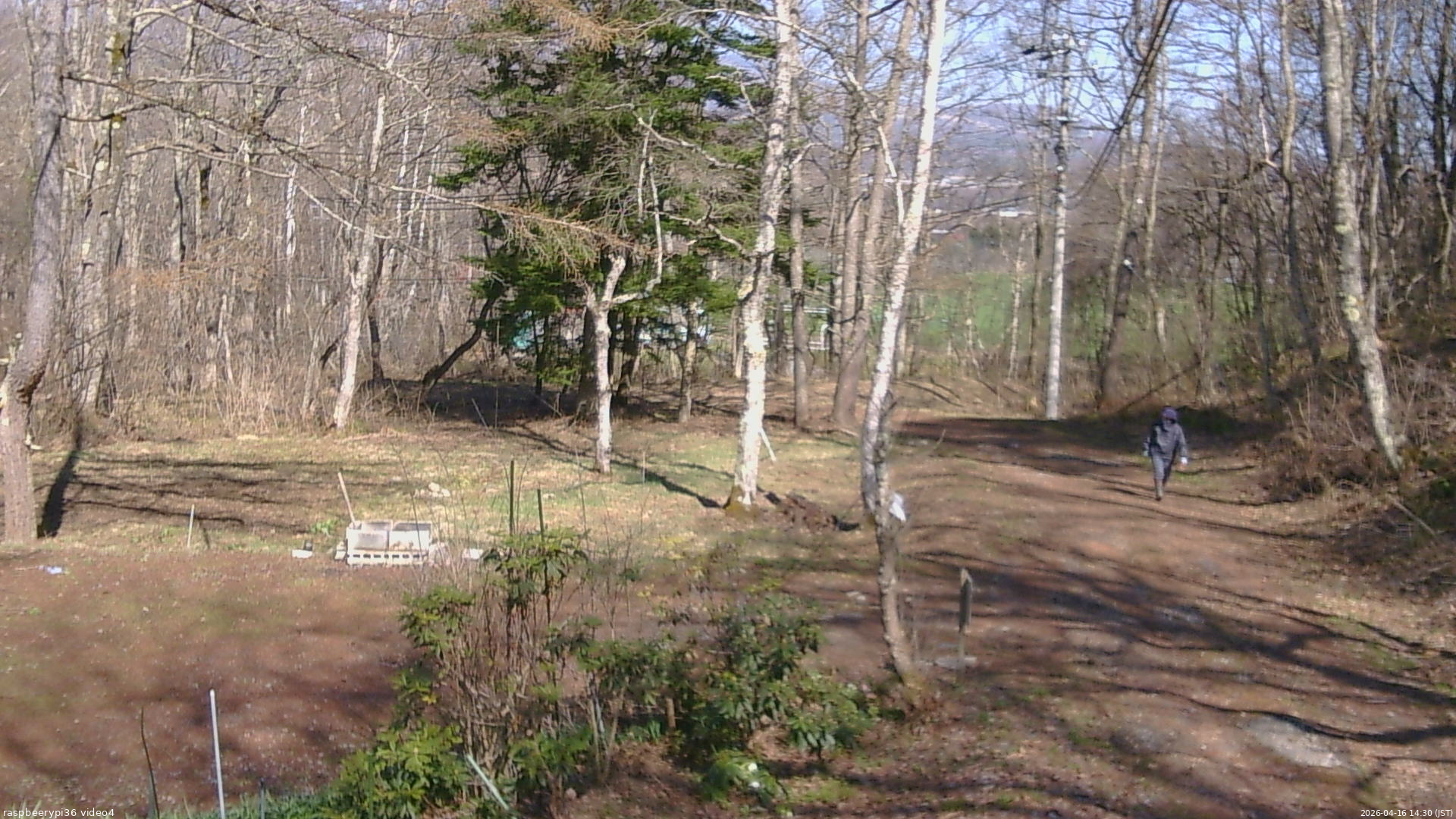 長野県菅平高原 ゆたか山荘 坂上 2026/04/16 14:30