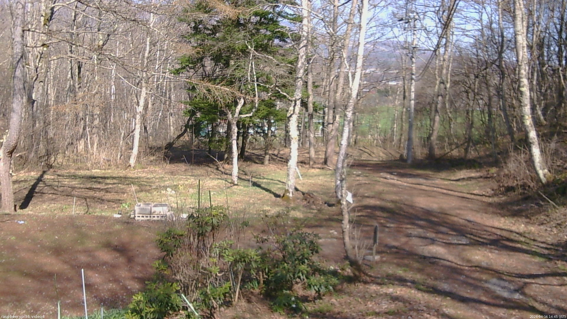 長野県菅平高原 ゆたか山荘 坂上 2026/04/16 14:45