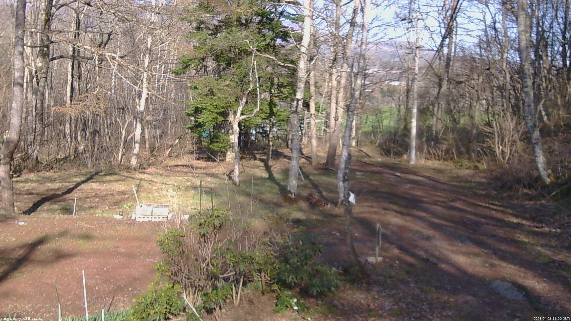 長野県菅平高原 ゆたか山荘 坂上 2026/04/16 16:00