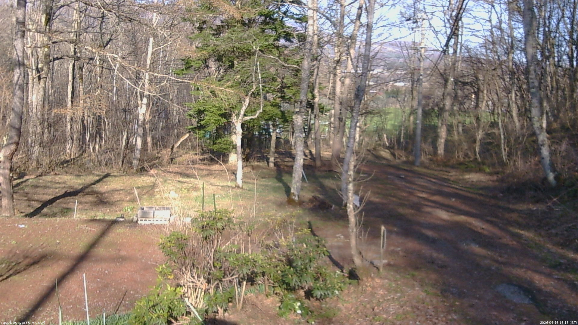 長野県菅平高原 ゆたか山荘 坂上 2026/04/16 16:15
