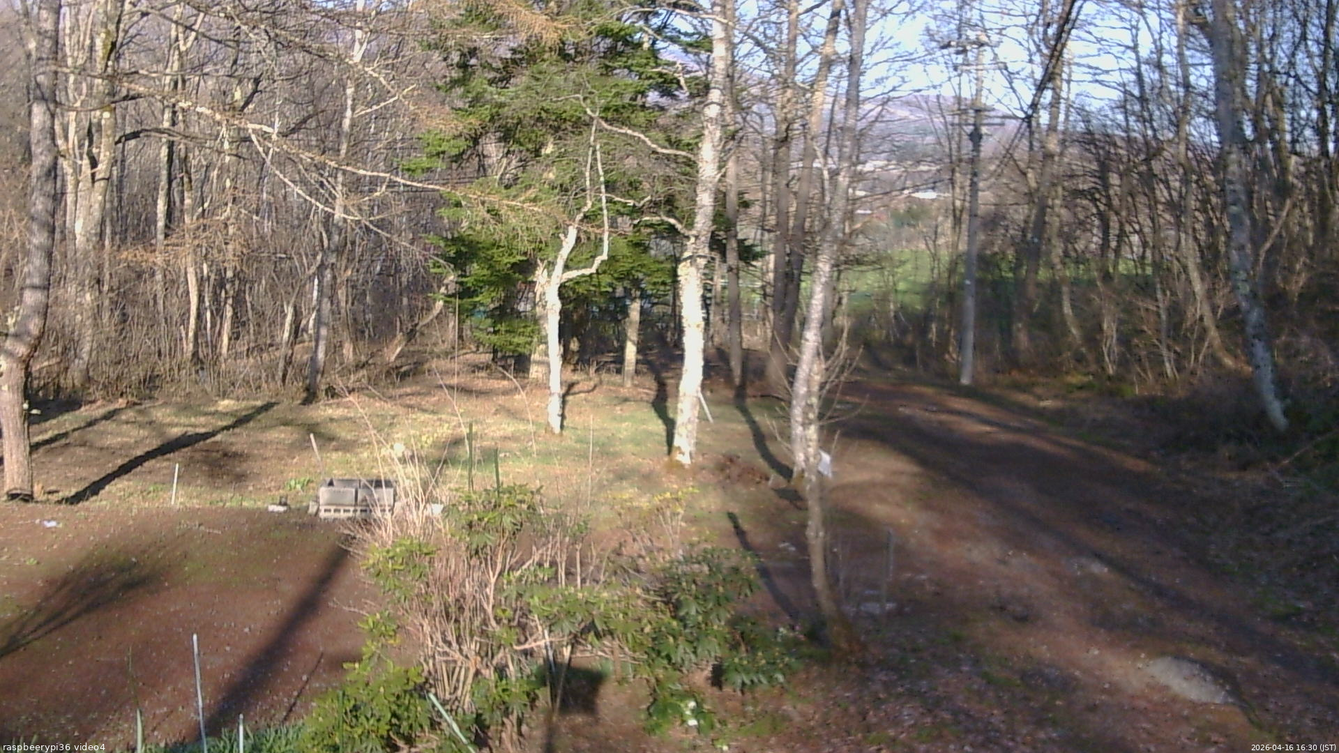 長野県菅平高原 ゆたか山荘 坂上 2026/04/16 16:30