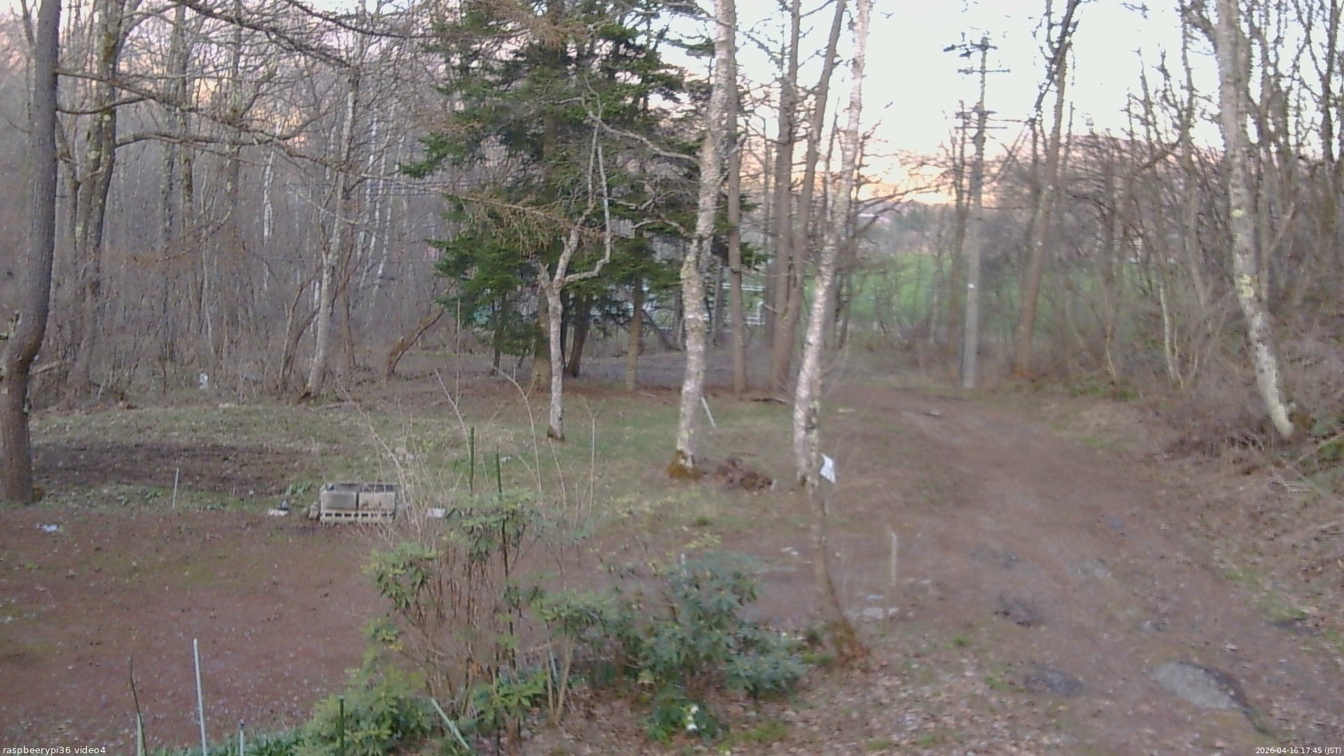 長野県菅平高原 ゆたか山荘 坂上 2026/04/16 17:45