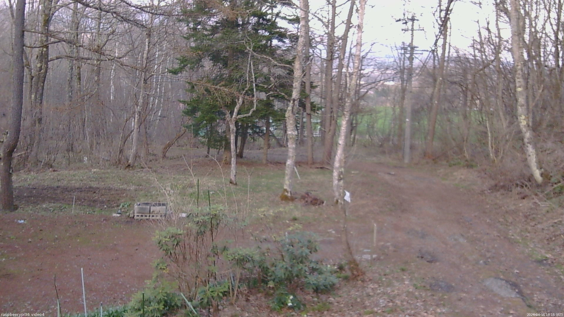 長野県菅平高原 ゆたか山荘 坂上 2026/04/16 18:15