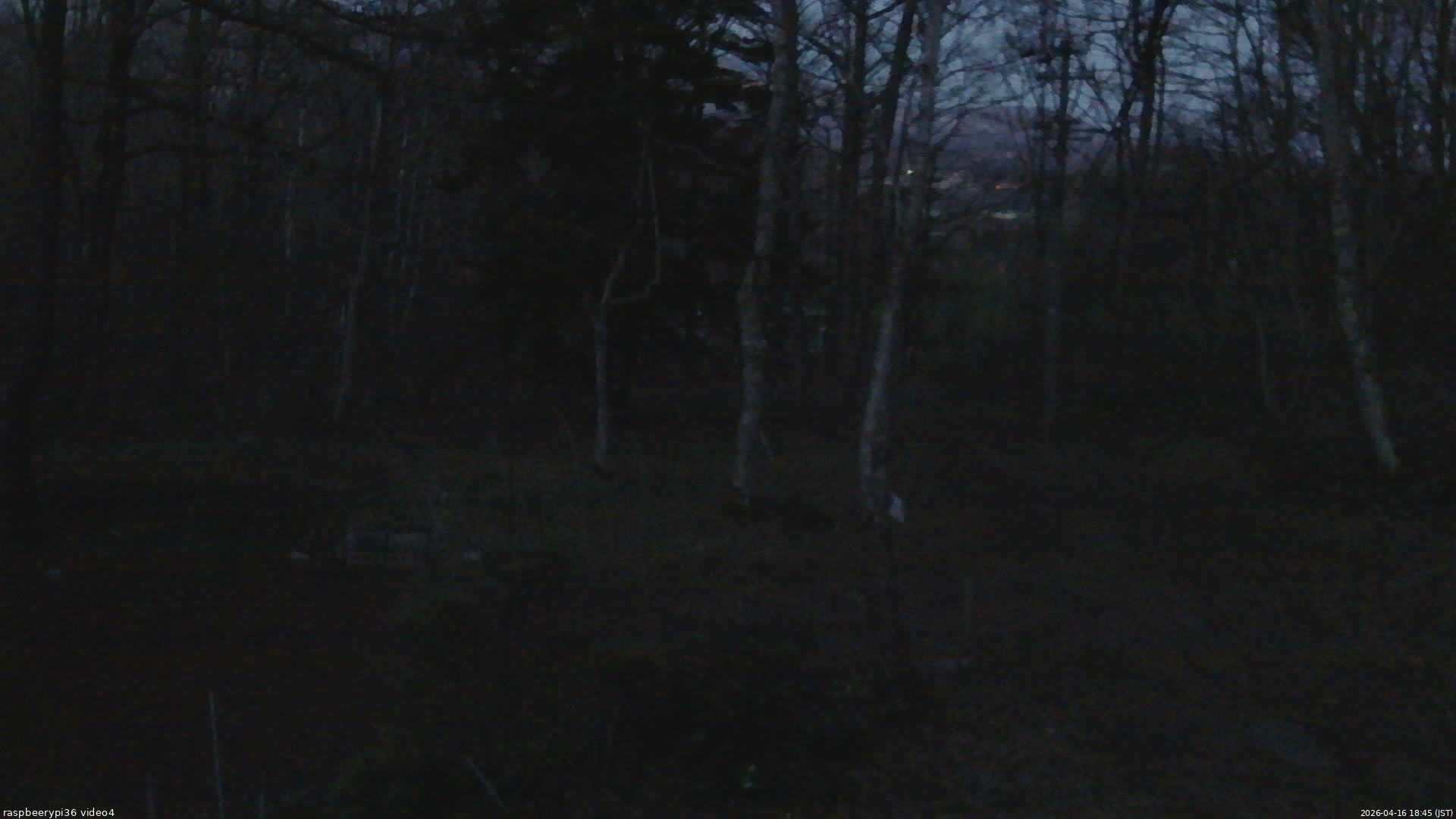 長野県菅平高原 ゆたか山荘 坂上 2026/04/16 18:45