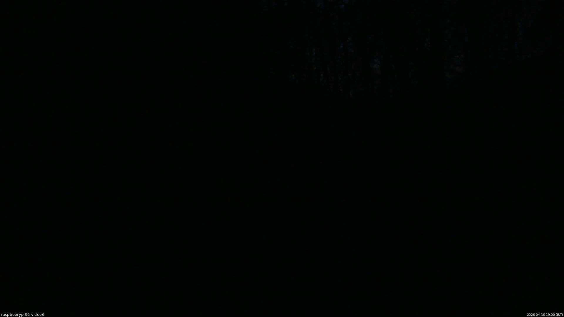 長野県菅平高原 ゆたか山荘 坂下 2026/04/16 19:00