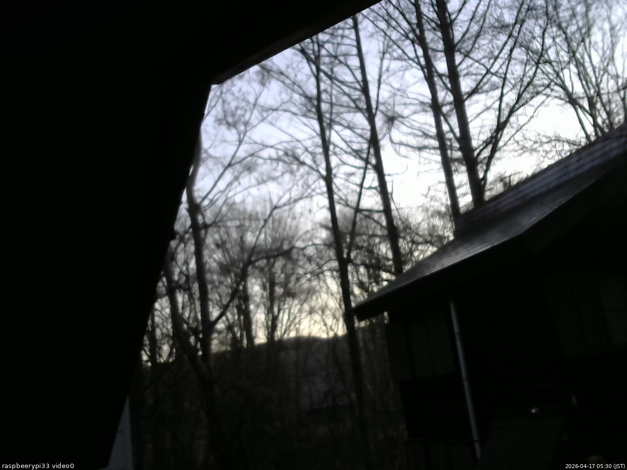 長野県菅平高原 ゆたか山荘 北側 2026/04/17 05:30