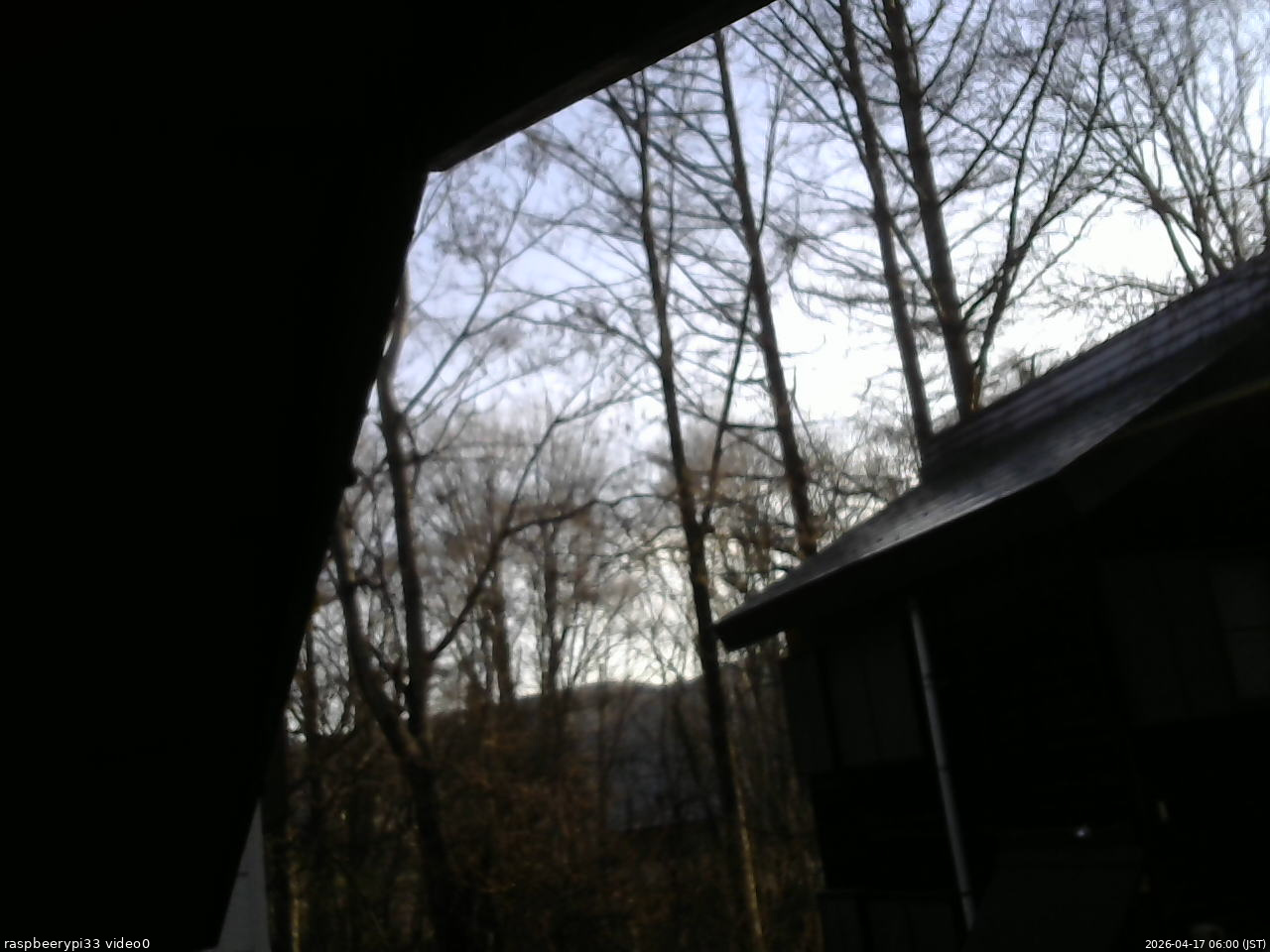 長野県菅平高原 ゆたか山荘 北側 2026/04/17 06:00