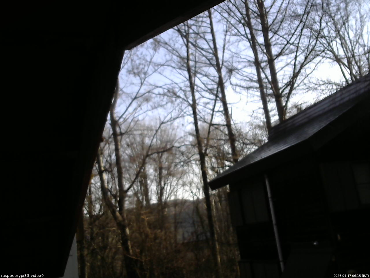 長野県菅平高原 ゆたか山荘 北側 2026/04/17 06:15