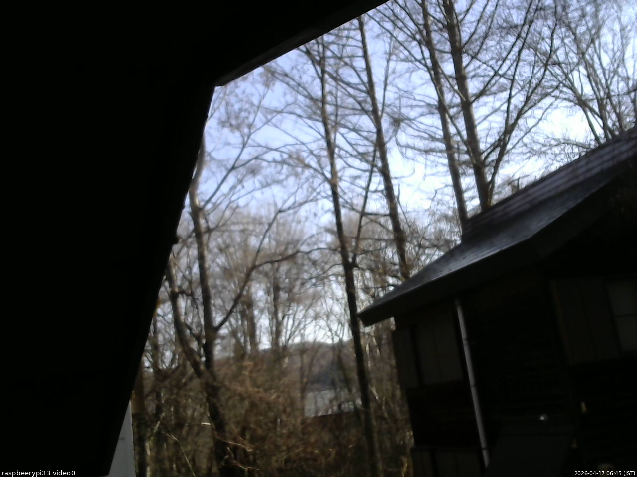 長野県菅平高原 ゆたか山荘 北側 2026/04/17 06:45