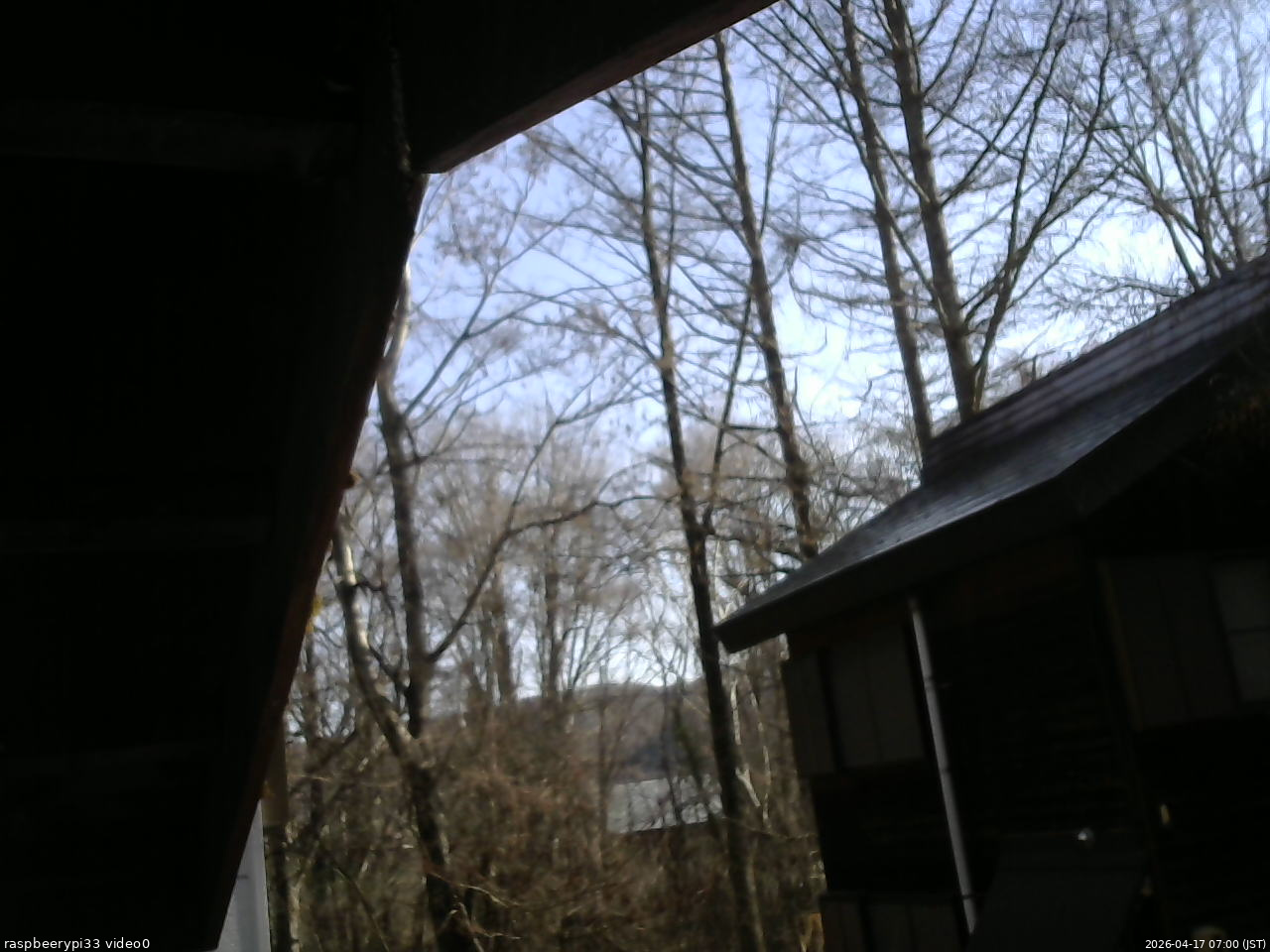 長野県菅平高原 ゆたか山荘 北側 2026/04/17 07:00