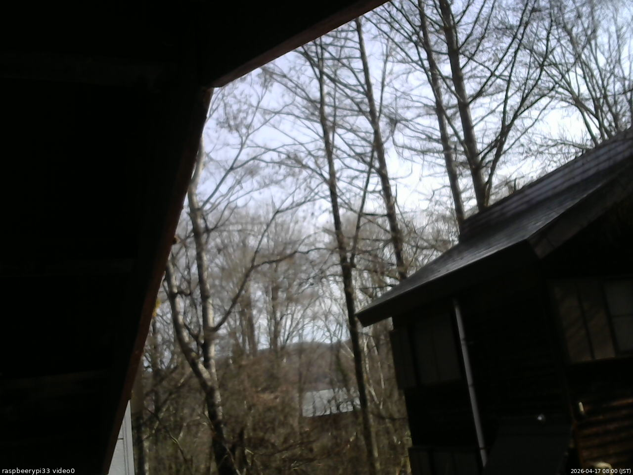 長野県菅平高原 ゆたか山荘 北側 2026/04/17 08:00