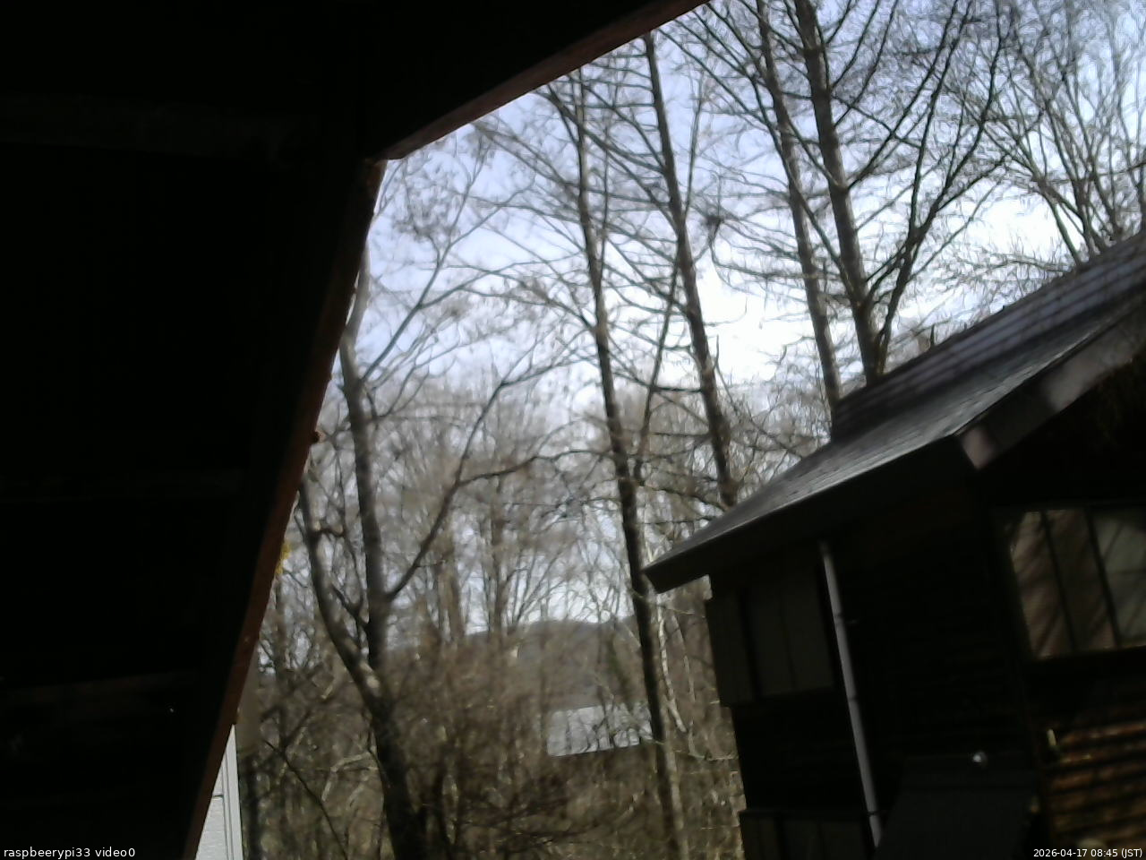 長野県菅平高原 ゆたか山荘 北側 2026/04/17 08:45