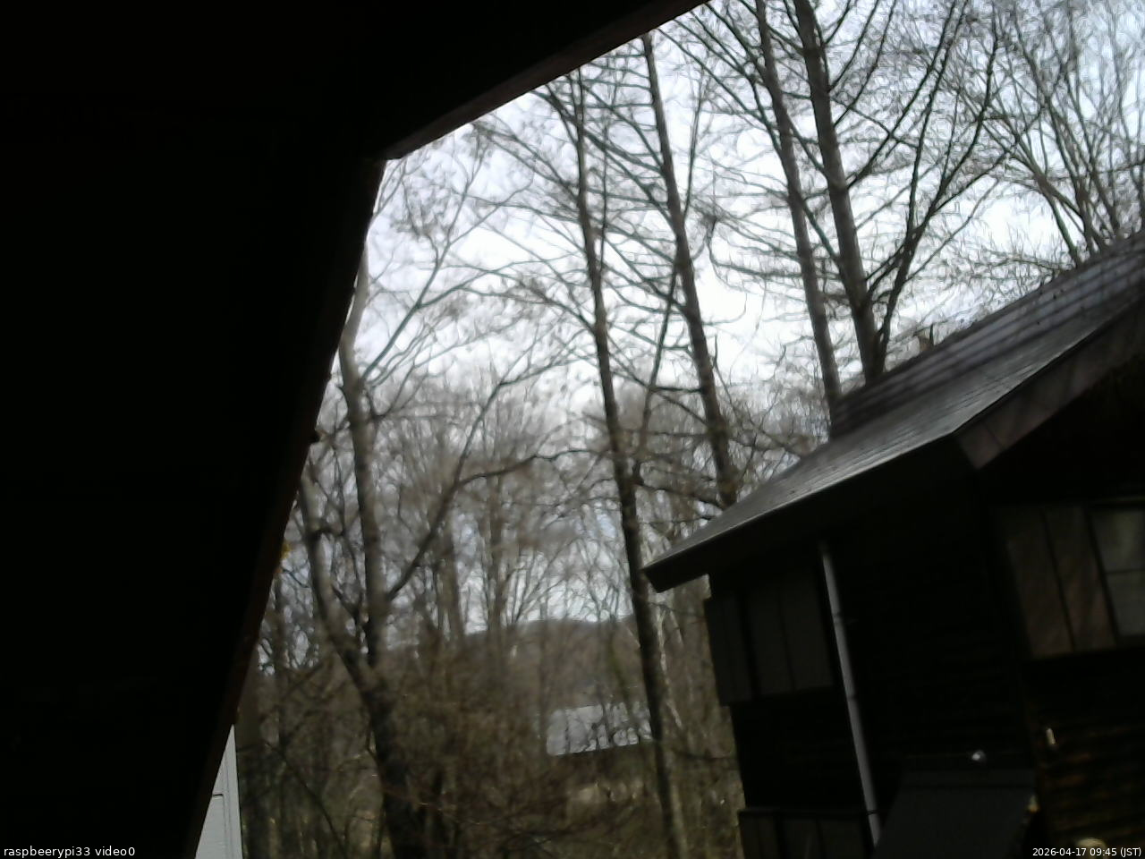 長野県菅平高原 ゆたか山荘 北側 2026/04/17 09:45