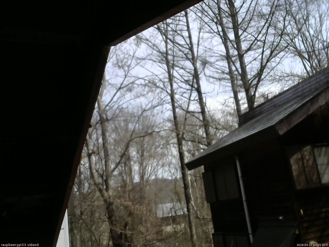 長野県菅平高原 ゆたか山荘 北側 2026/04/17 10:15