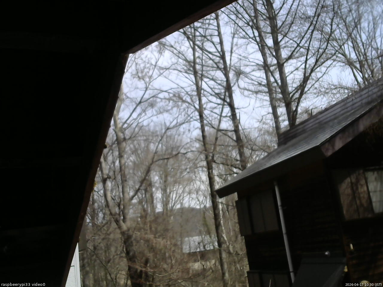 長野県菅平高原 ゆたか山荘 北側 2026/04/17 10:30