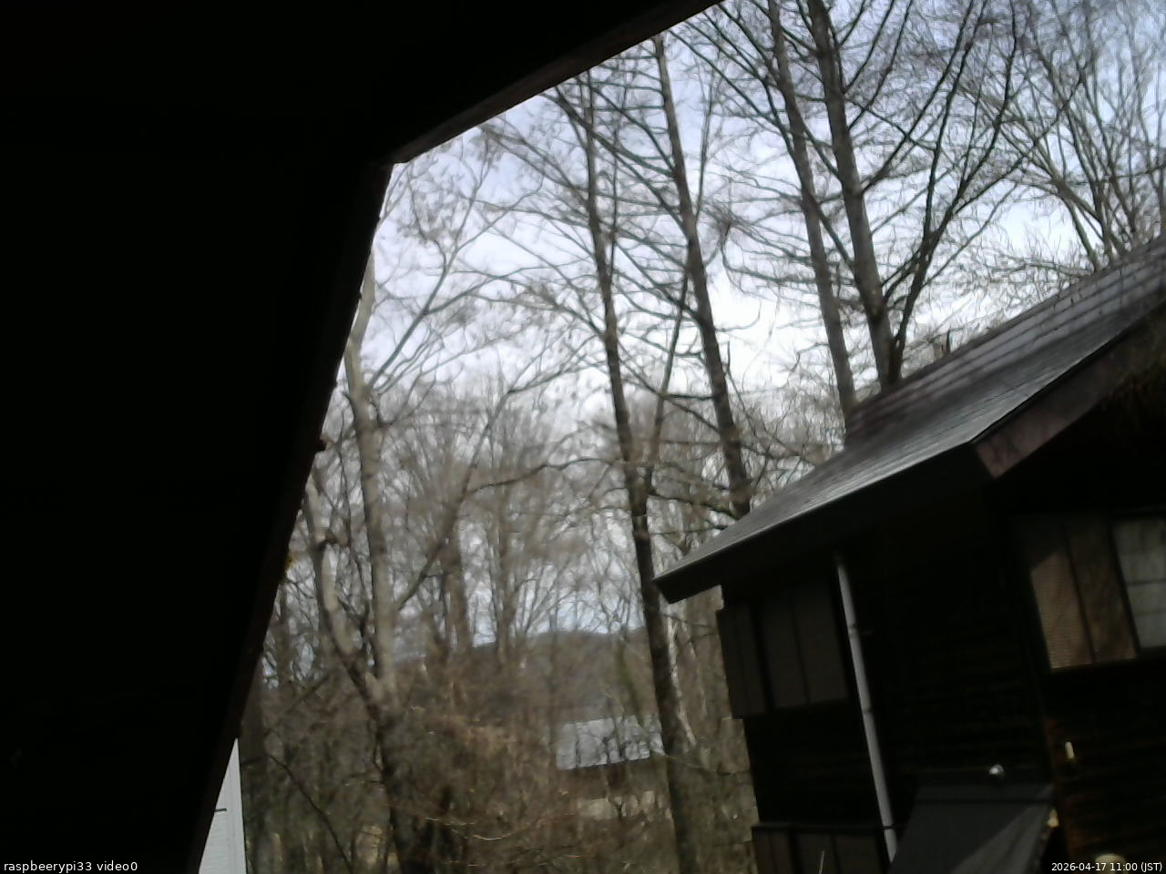 長野県菅平高原 ゆたか山荘 北側 2026/04/17 11:00