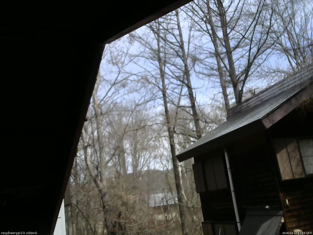 長野県菅平高原 ゆたか山荘 北側 2026/04/17 11:15