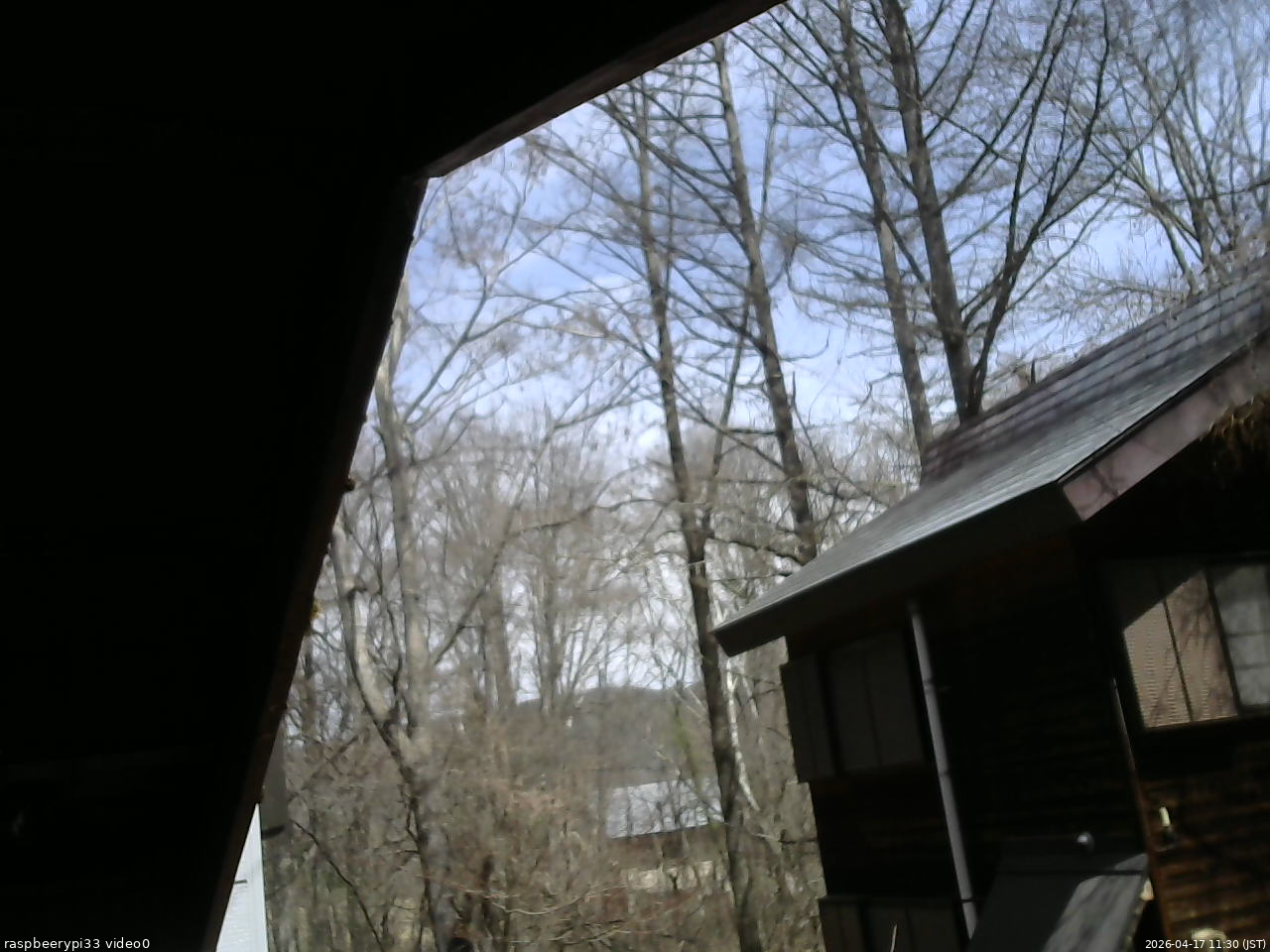 長野県菅平高原 ゆたか山荘 北側 2026/04/17 11:30