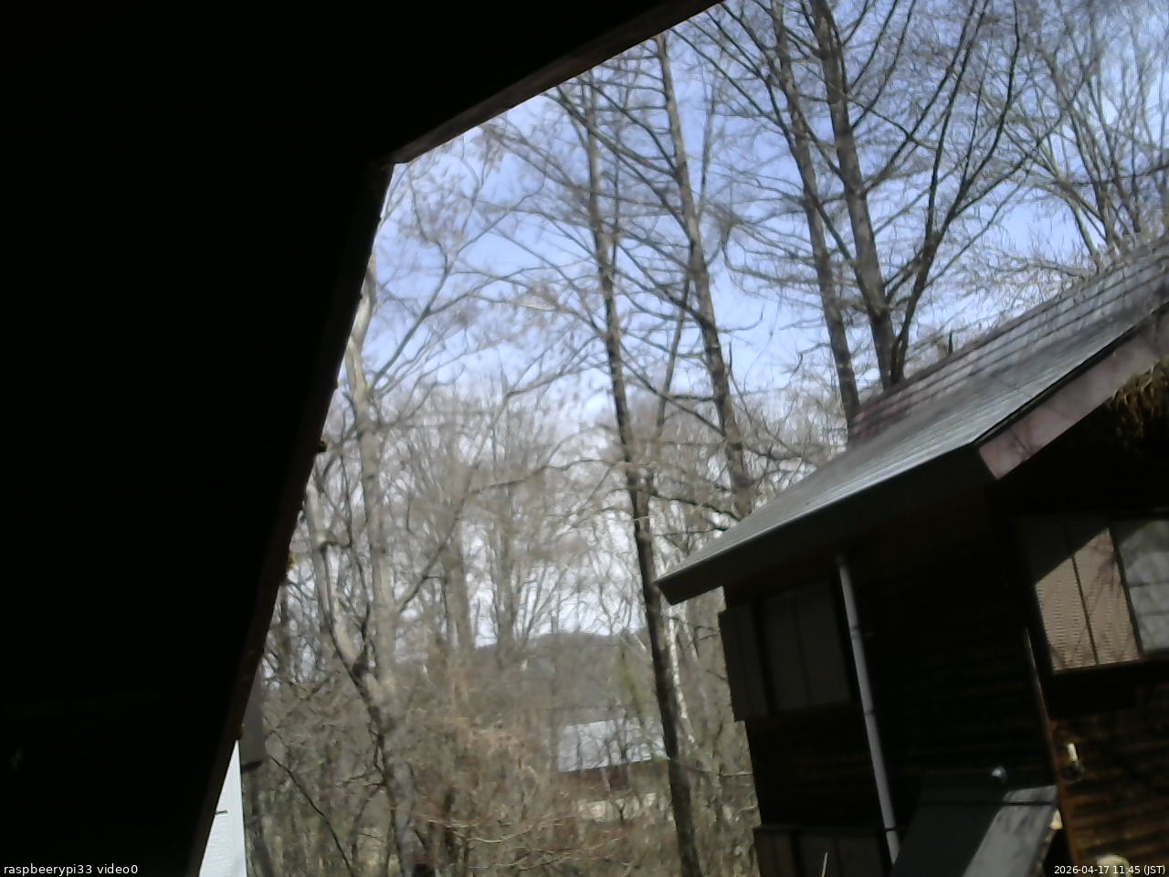 長野県菅平高原 ゆたか山荘 北側 2026/04/17 11:45