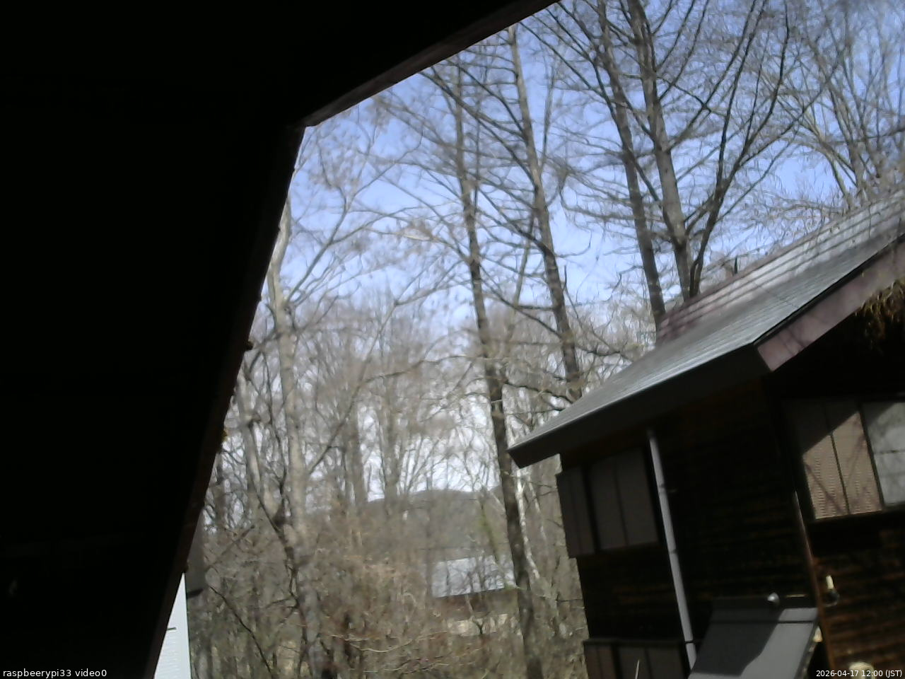 長野県菅平高原 ゆたか山荘 北側 2026/04/17 12:00