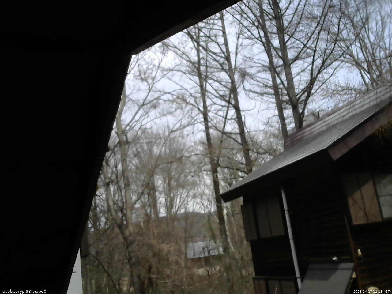 長野県菅平高原 ゆたか山荘 北側 2026/04/17 12:15