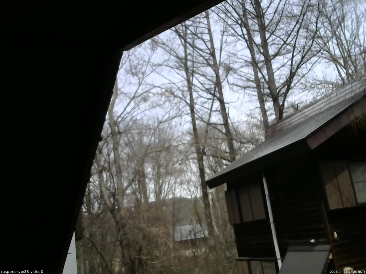 長野県菅平高原 ゆたか山荘 北側 2026/04/17 12:30