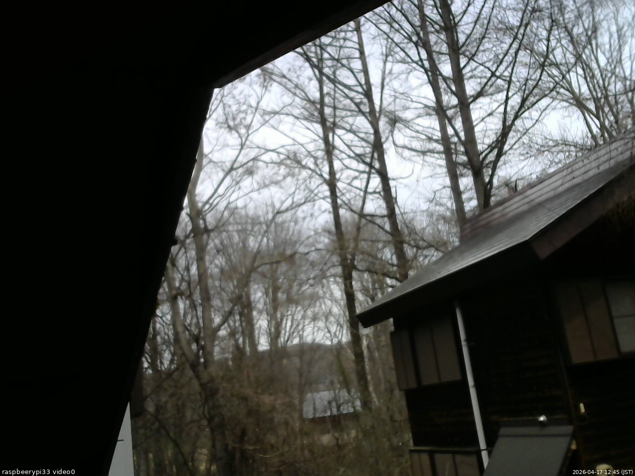 長野県菅平高原 ゆたか山荘 北側 2026/04/17 12:45